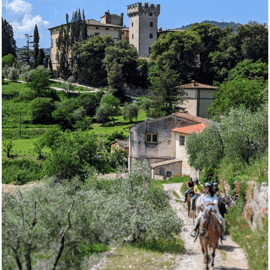 Firenze: Tour a cavallo con degustazione di vini e trasferimento