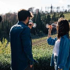 Da Firenze: Tour di mezza giornata sulle colline del Chianti con degustazione di vini