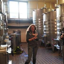 Tour del vino nel Chianti Classico con pranzo da Cecchini