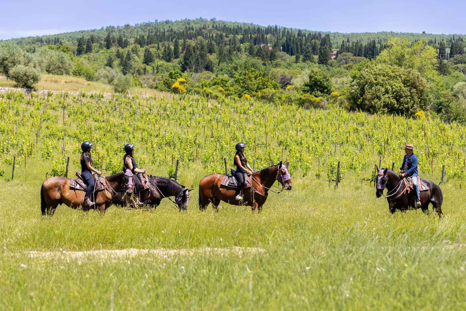 Firenze: Tour a cavallo con degustazione di vini e trasferimento