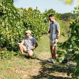 Tour delle cantine del Chianti: due degustazioni da Firenze