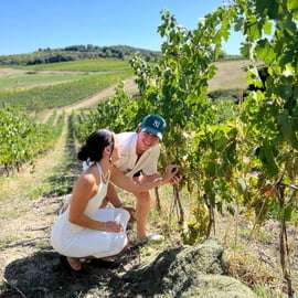 Firenze: cantine, degustazioni, pranzo e gita di un giorno a San Gimignano