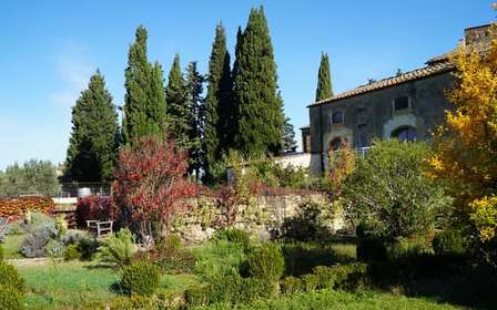 Tour del vino nel Chianti Classico con pranzo da Cecchini
