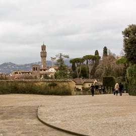 Biglietto d'ingresso per Palazzo Pitti con audioguida