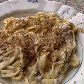 Caccia al tartufo in Toscana da Firenze con pranzo