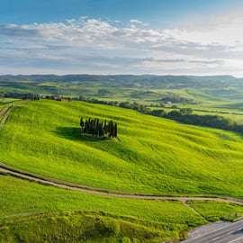 Montepulciano e Pienza: Tour del vino da Firenze