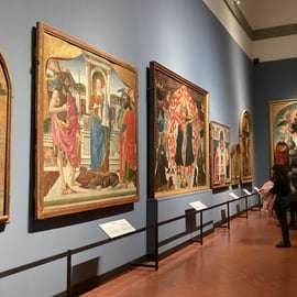 Firenze: Bigli con ingresso programmato al David di Michelangelo & eBook