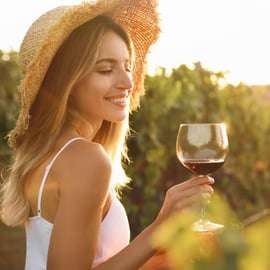 Da Firenze: Tour di mezza giornata sulle colline del Chianti con degustazione di vini