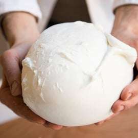 Firenze: laboratorio di mozzarella con degustazione di vini
