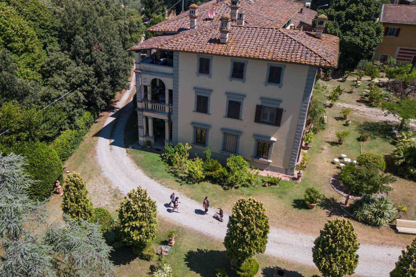 San Miniato: autentica caccia al tartufo + degustazione gourmet