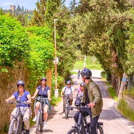 Firenze: Tour in E-Bike di Fiesole con degustazione di olio d'oliva