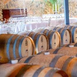 San Gimignano: Pranzo o cena in una cantina con degustazione di vini