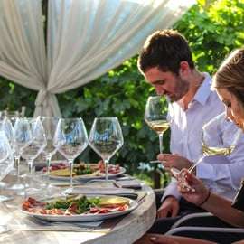 San Gimignano: Degustazione di vino e olio con antipasti toscani