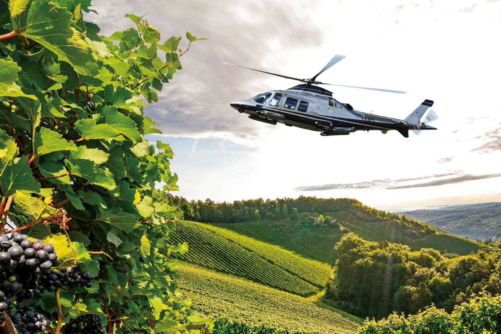Tour del vino in elicottero nella regione del Chianti