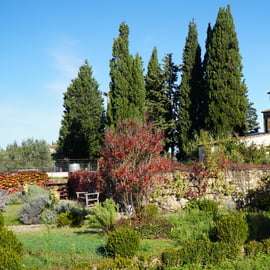 Tour del vino nel Chianti Classico con pranzo da Cecchini