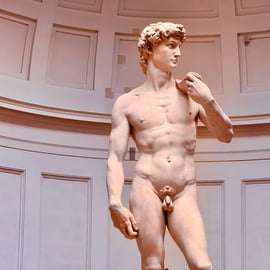 Firenze: Tour veloce dell'Accademia David con salto della fila