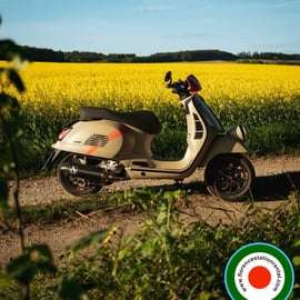 Firenze: Giornata intera Noleggio Vespa, Scooter e Ciclomotore