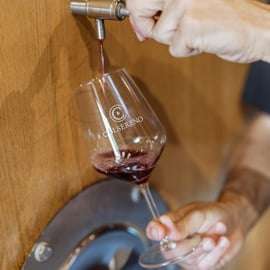 Degustazione di vini Brunello con pranzo tipico toscano