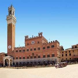 Da Firenze: gita di un giorno in Toscana con autista privato