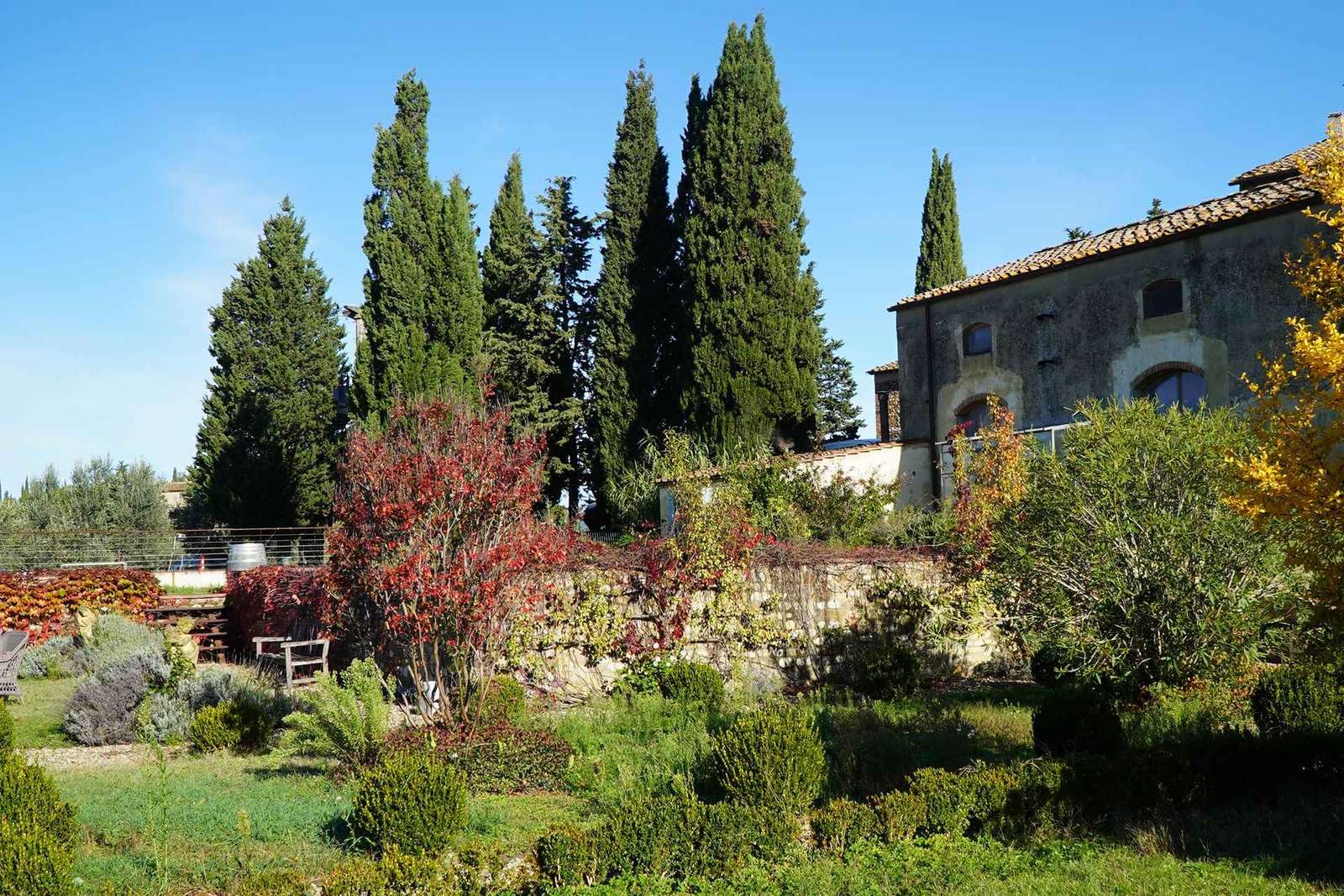 Tour del vino nel Chianti Classico con pranzo da Cecchini