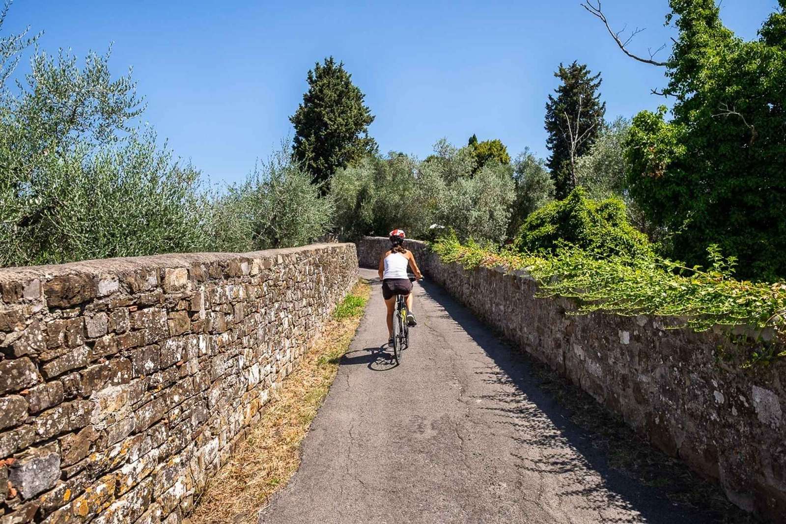 Firenze: tour in bicicletta di mezza giornata nella campagna toscana e degustazioni