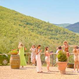 Tour delle cantine del Chianti: due degustazioni da Firenze