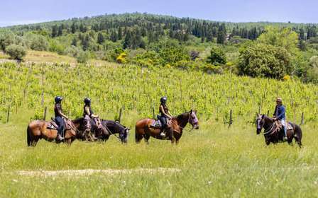 Firenze: Tour a cavallo con degustazione di vini e trasferimento
