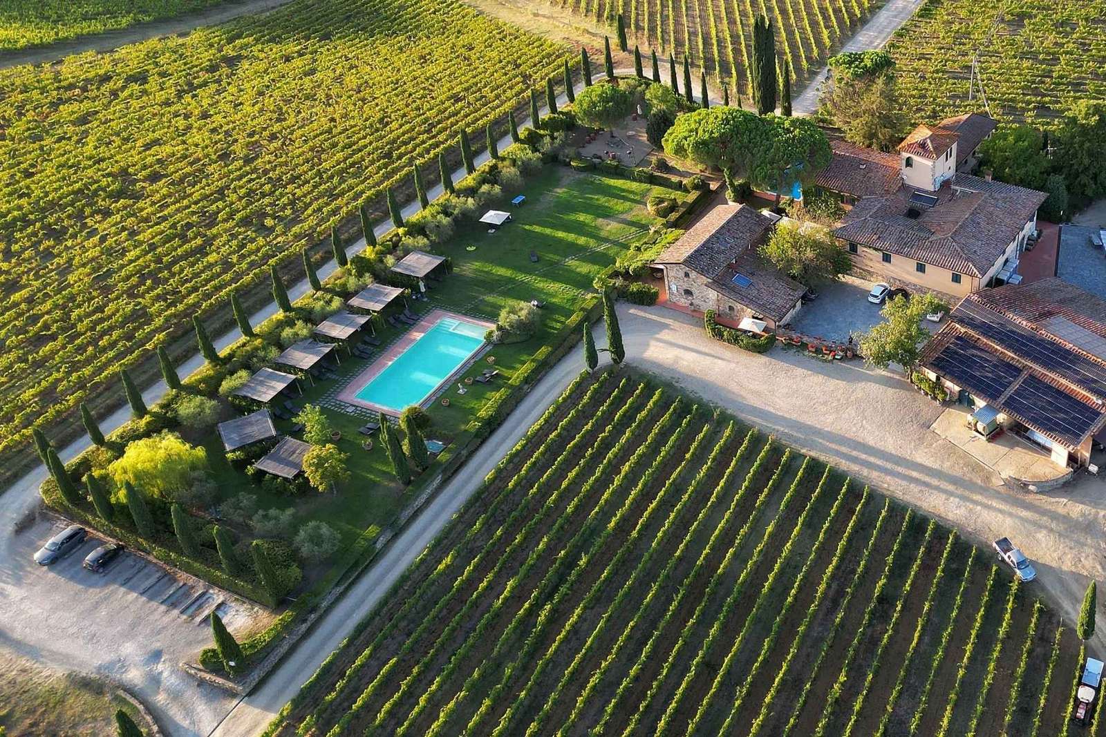 Scopri i Vini del Chianti Classico con una degustazione a Viticcio