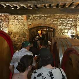 Da Firenze: tour enologico del Chianti con degustazioni - Mezza giornata