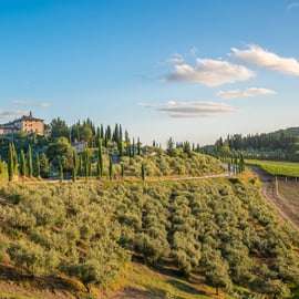 Tour in golf cart sulle colline di Firenze, fino a Fiesole