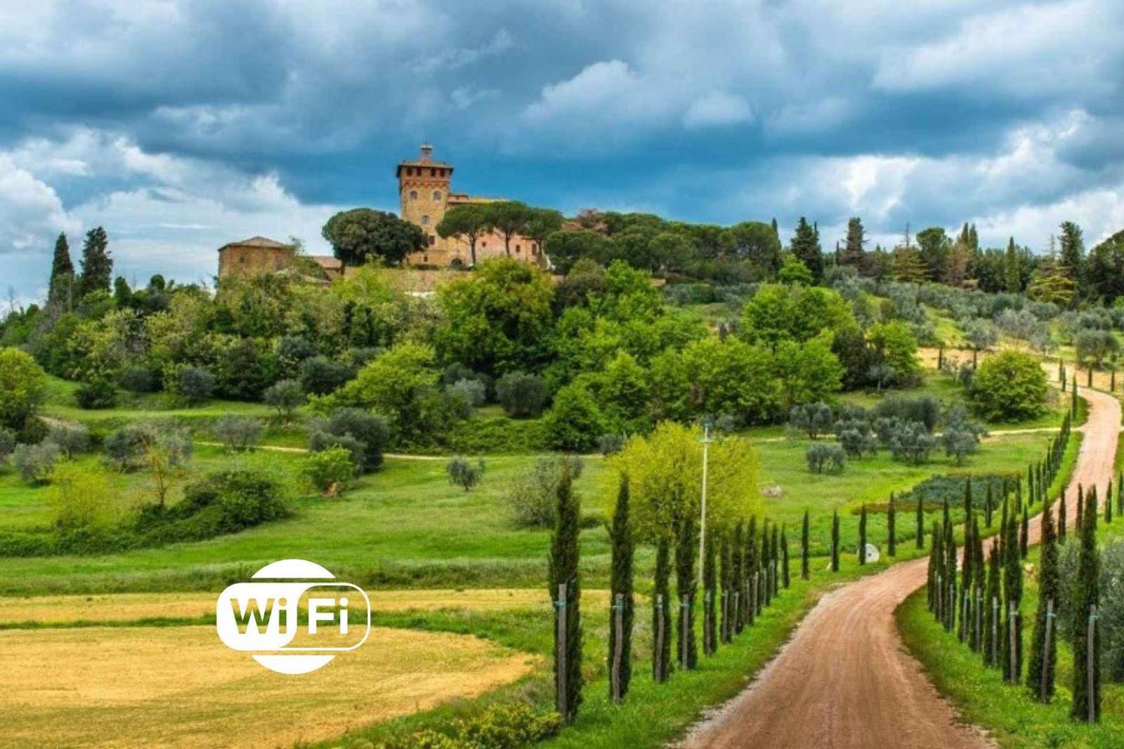 Mezza giornata nel Chianti da Firenze con due cantine