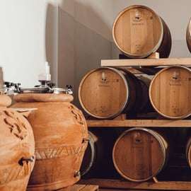 Degustazione di Chianti Classico biologico a Greve in Chianti
