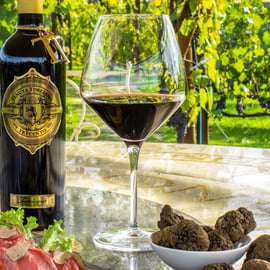 San Gimignano: Degustazione di vino e olio con antipasti toscani