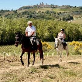 San Gimignano: giro a cavallo tra le colline toscane