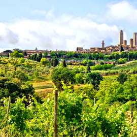 Da Firenze: gita di un giorno in Toscana con autista privato