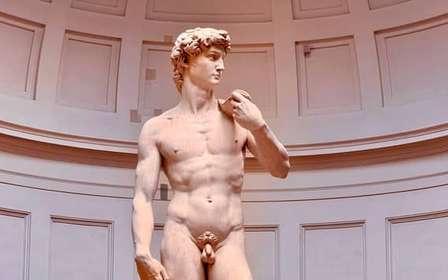 Firenze: Tour veloce dell'Accademia David con salto della fila