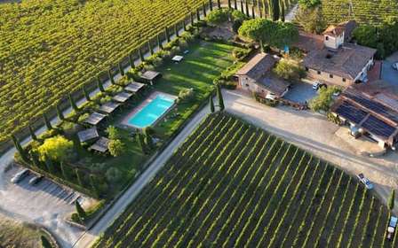 Scopri i Vini del Chianti Classico con una degustazione a Viticcio