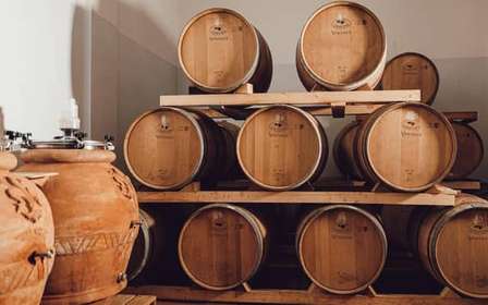 Degustazione di Chianti Classico biologico a Greve in Chianti