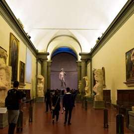Firenze: Biglietto d'ingresso prioritario per la Galleria dell'Accademia