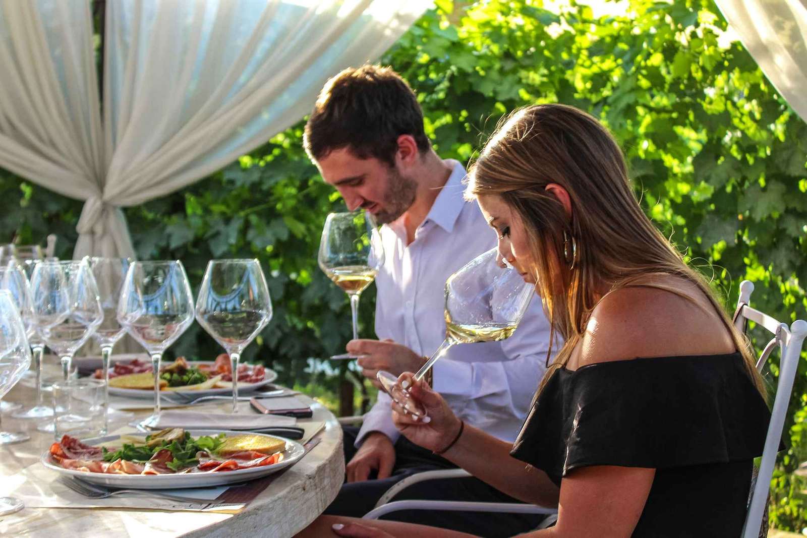 San Gimignano: Degustazione di vino e olio con antipasti toscani