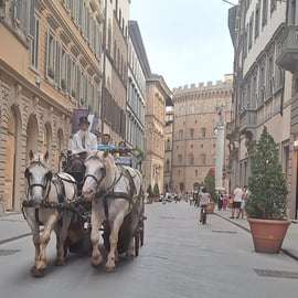 Giro in carrozza a Firenze con cocchiere medievale e guida