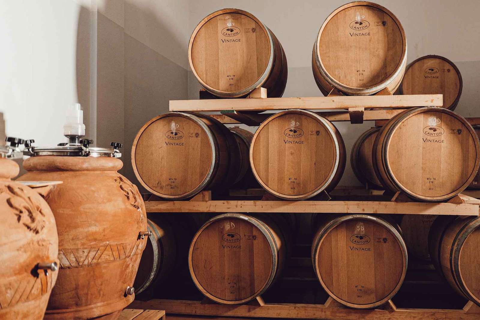 Degustazione di Chianti Classico biologico a Greve in Chianti