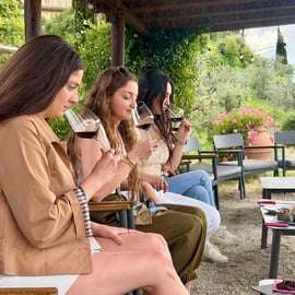 Firenze: cantine, degustazioni, pranzo e gita di un giorno a San Gimignano