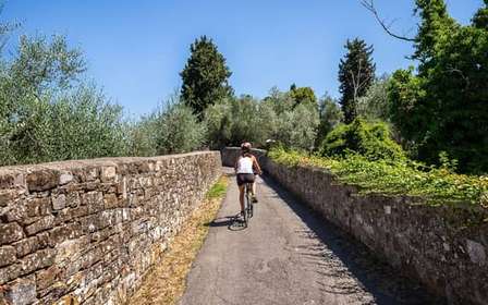 Firenze: tour in bicicletta di mezza giornata nella campagna toscana e degustazioni