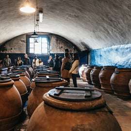 Da Firenze: Safari con degustazione di vini e cibi del Chianti