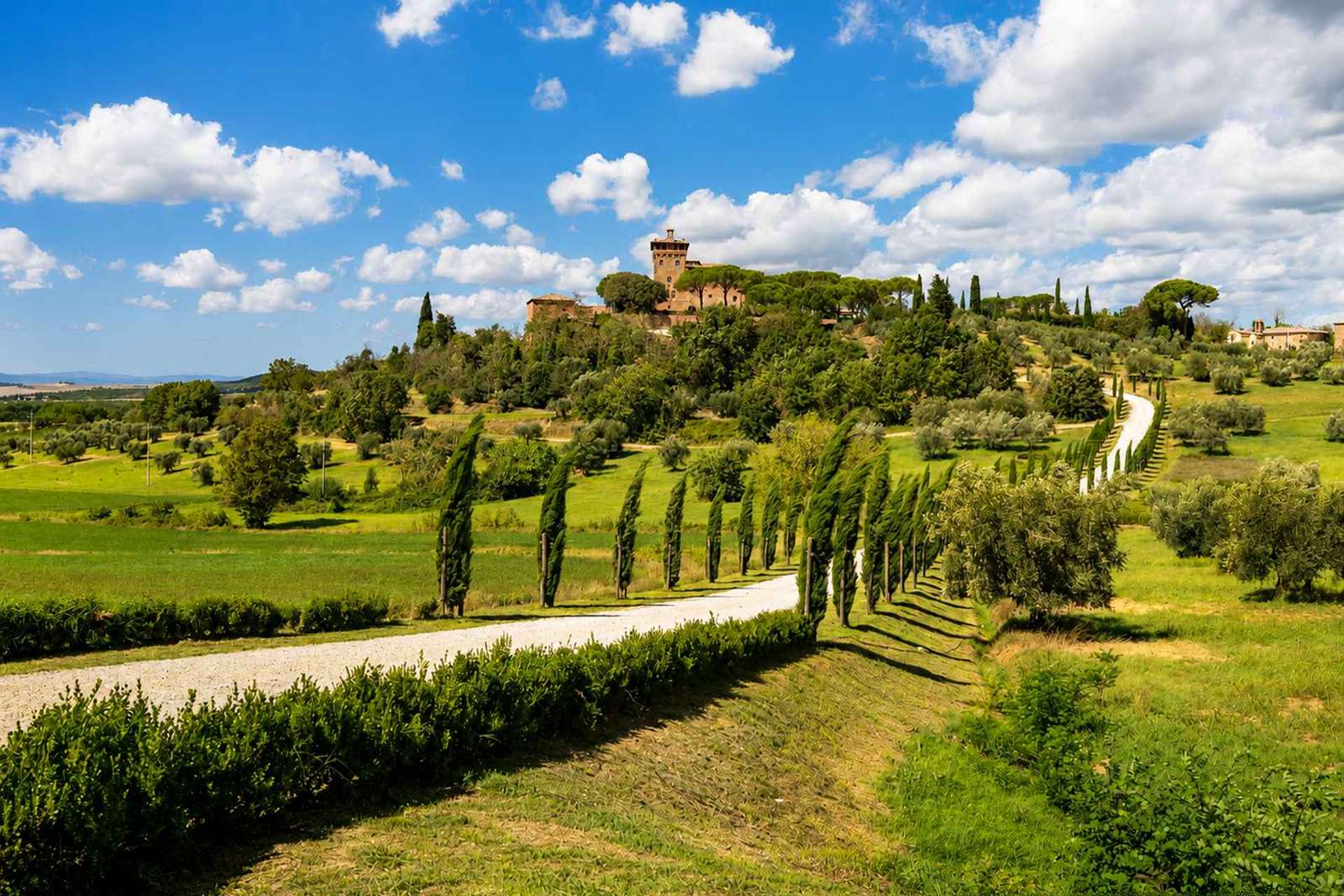 Tour della Val d'Orcia da Firenze con pranzo e vino