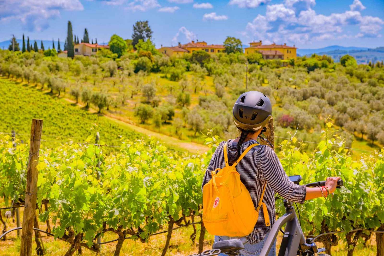 Firenze: Tour del Chianti in E-Bike con pranzo e due degustazioni di vini