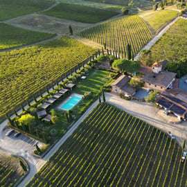Scopri i Vini del Chianti Classico con una degustazione a Viticcio