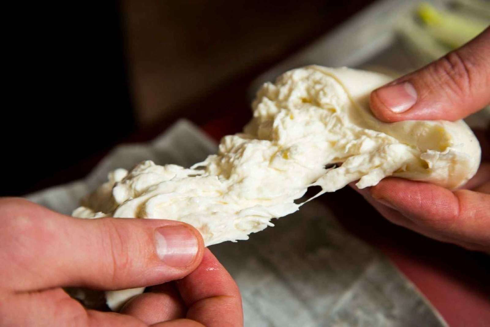 Firenze: laboratorio di mozzarella con degustazione di vini
