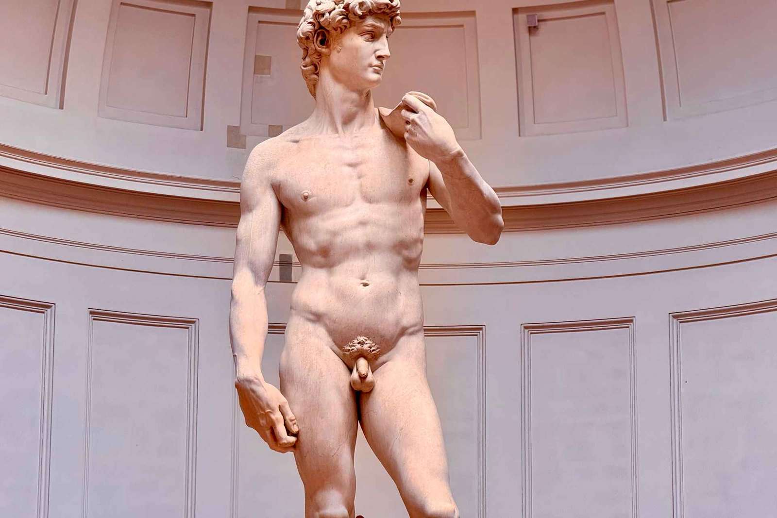 Firenze: Tour veloce dell'Accademia David con salto della fila